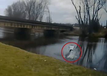 Michigan suspect plunges into frigid river to evade pursuing officers, never resurfaces – Law Officer